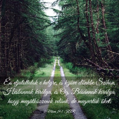 Picture 03 - 5 Mózes 29:7 KAR - És eljutottatok e helyre, és kijöve elõnkbe - Bible Verse Picture
