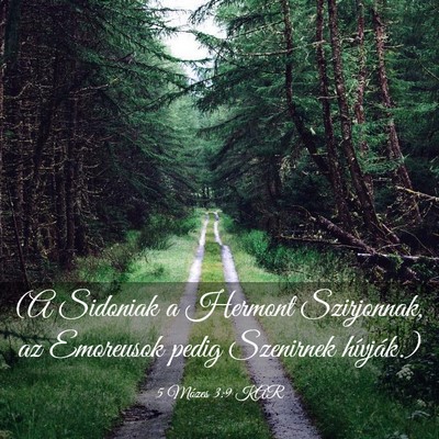 Picture 03 - 5 Mózes 3:9 KAR - (A Sidoniak a Hermont Szirjonnak, az Emoreusok - Bible Verse Picture