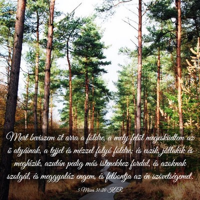 Picture 03 - 5 Mózes 31:20 KAR - Mert beviszem õt arra a földre, a mely felõl - Bible Verse Picture