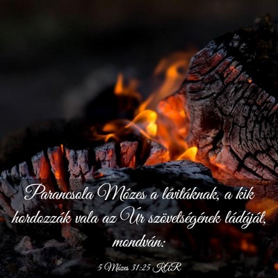 Picture 03 - 5 Mózes 31:25 KAR - Parancsola Mózes a lévitáknak, a kik - Bible Verse Picture