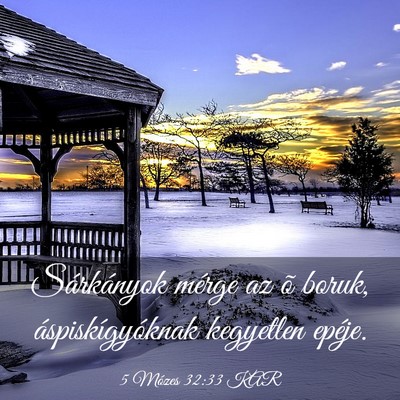 Picture 03 - 5 Mózes 32:33 KAR - Sárkányok mérge az õ boruk, áspiskígyóknak - Bible Verse Picture