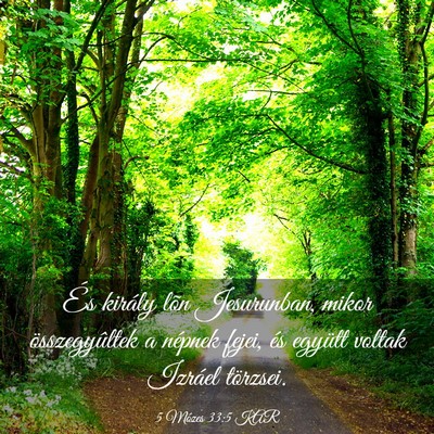 Picture 03 - 5 Mózes 33:5 KAR - És király lõn Jesurunban, mikor összegyûltek - Bible Verse Picture