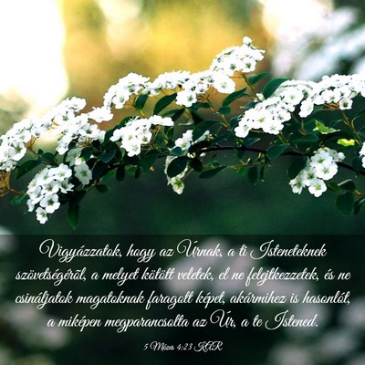 Picture 03 - 5 Mózes 4:23 KAR - Vigyázzatok, hogy az Úrnak, a ti Isteneteknek - Bible Verse Picture