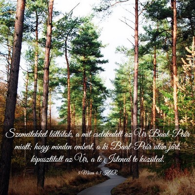 Picture 03 - 5 Mózes 4:3 KAR - Szemeitekkel láttátok, a mit cselekedett az Úr - Bible Verse Picture