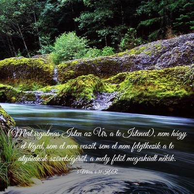 Picture 03 - 5 Mózes 4:31 KAR - (Mert irgalmas Isten az Úr, a te Istened), nem - Bible Verse Picture