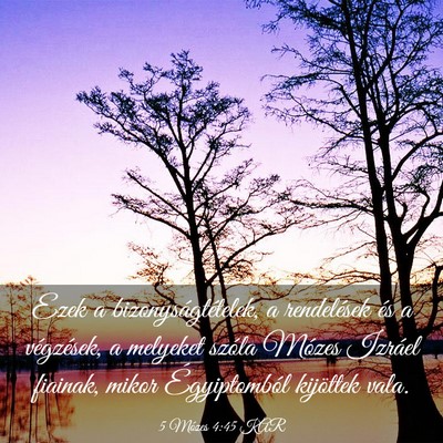 Picture 03 - 5 Mózes 4:45 KAR - Ezek a bizonyságtételek, a rendelések és a - Bible Verse Picture