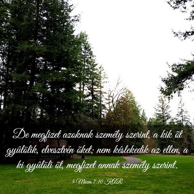 Picture 03 - 5 Mózes 7:10 KAR - De megfizet azoknak személy szerint, a kik õt - Bible Verse Picture