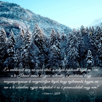 Picture 03 - 5 Mózes 8:2 KAR - És emlékezzél meg az egész útról, a melyen - Bible Verse Picture