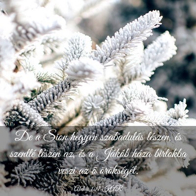 Picture 03 - Abdiás 1:17 KAR - De a Sion hegyén szabadulás lészen, és - Bible Verse Picture