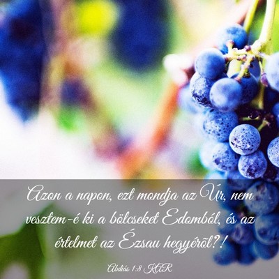 Picture 03 - Abdiás 1:8 KAR - Azon a napon, ezt mondja az Úr, nem vesztem-é - Bible Verse Picture