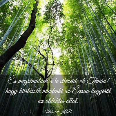 Picture 03 - Abdiás 1:9 KAR - És megrémülnek a te vitézeid, oh Témán! - Bible Verse Picture