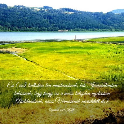 Picture 03 - Apostolok 1:19 KAR - És [ez] tudtokra lõn mindazoknak, kik - Bible Verse Picture