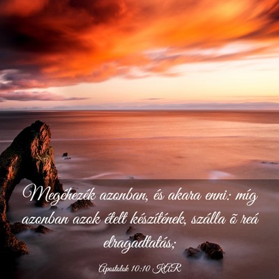 Picture 03 - Apostolok 10:10 KAR - Megéhezék azonban, és akara enni: míg azonban - Bible Verse Picture