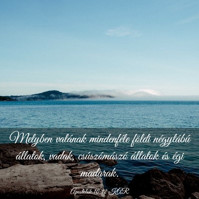 Picture 03 - Apostolok 10:12 KAR - Melyben valának mindenféle földi négylábú - Bible Verse Picture