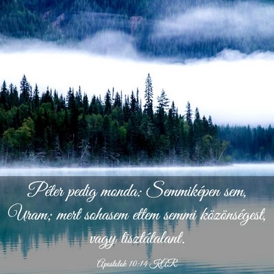 Picture 03 - Apostolok 10:14 KAR - Péter pedig monda: Semmiképen sem, Uram; mert - Bible Verse Picture
