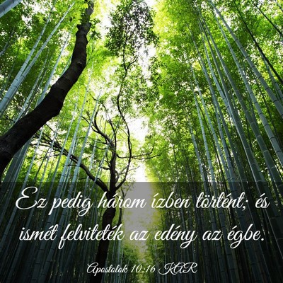 Picture 03 - Apostolok 10:16 KAR - Ez pedig három ízben történt; és ismét - Bible Verse Picture