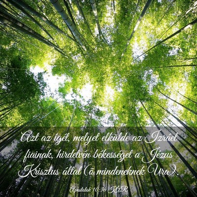 Picture 03 - Apostolok 10:36 KAR - Azt az ígét, melyet elkülde az Izráel - Bible Verse Picture