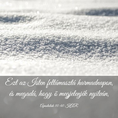Picture 03 - Apostolok 10:40 KAR - Ezt az Isten feltámasztá harmadnapon, és - Bible Verse Picture