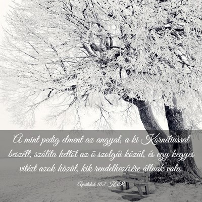 Picture 03 - Apostolok 10:7 KAR - A mint pedig elment az angyal, a ki Kornéliussal - Bible Verse Picture