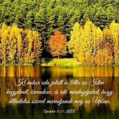 Picture 03 - Apostolok 11:23 KAR - Ki mikor oda jutott és látta az Isten - Bible Verse Picture