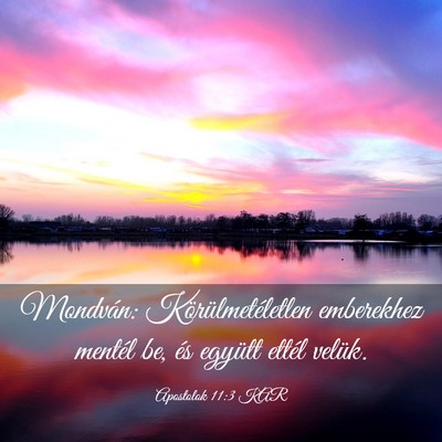 Picture 03 - Apostolok 11:3 KAR - Mondván: Körülmetéletlen emberekhez mentél - Bible Verse Picture