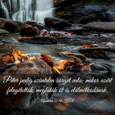 Picture 03 - Apostolok 12:16 KAR - Péter pedig szüntelen zörget vala: mikor - Bible Verse Picture