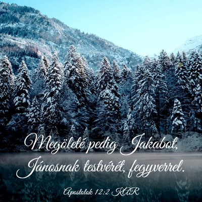 Picture 03 - Apostolok 12:2 KAR - Megöleté pedig Jakabot, Jánosnak testvérét, - Bible Verse Picture