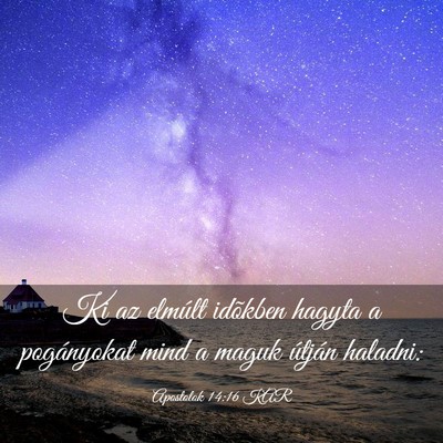 Picture 03 - Apostolok 14:16 KAR - Ki az elmúlt idõkben hagyta a pogányokat mind - Bible Verse Picture