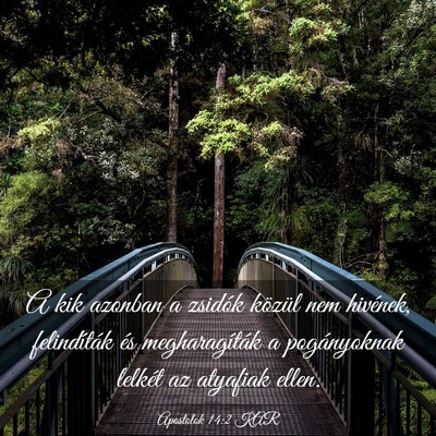 Picture 03 - Apostolok 14:2 KAR - A kik azonban a zsidók közül nem hivének, - Bible Verse Picture