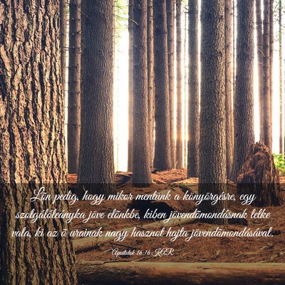 Picture 03 - Apostolok 16:16 KAR - Lõn pedig, hogy mikor mentünk a könyörgésre, - Bible Verse Picture