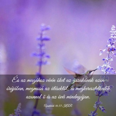 Picture 03 - Apostolok 16:33 KAR - És az magához vévén õket az éjszakának - Bible Verse Picture