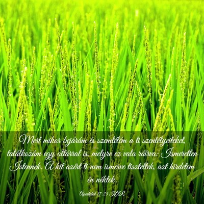 Picture 03 - Apostolok 17:23 KAR - Mert mikor bejárám és szemlélém a ti - Bible Verse Picture