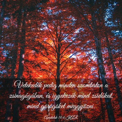 Picture 03 - Apostolok 18:4 KAR - Vetekedék pedig minden szombaton a - Bible Verse Picture