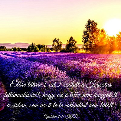Picture 03 - Apostolok 2:31 KAR - Elõre látván [ezt,] szólott a Krisztus - Bible Verse Picture