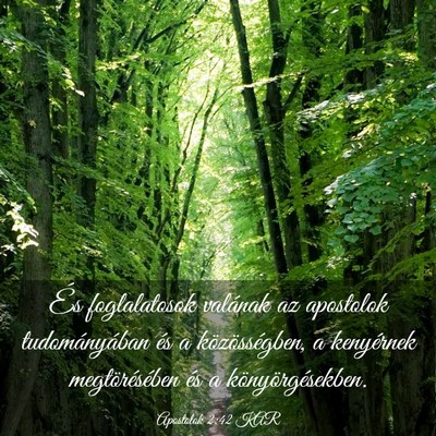 Picture 03 - Apostolok 2:42 KAR - És foglalatosok valának az apostolok - Bible Verse Picture