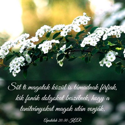Picture 03 - Apostolok 20:30 KAR - Sõt ti magatok közül is támadnak férfiak, - Bible Verse Picture