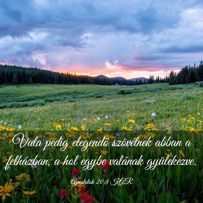 Picture 03 - Apostolok 20:8 KAR - Vala pedig elegendõ szövétnek abban a - Bible Verse Picture
