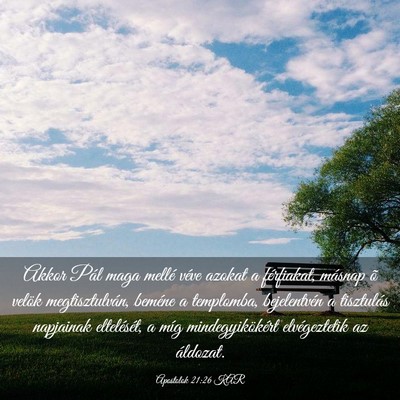Picture 03 - Apostolok 21:26 KAR - Akkor Pál maga mellé véve azokat a férfiakat, - Bible Verse Picture