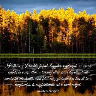 Picture 03 - Apostolok 21:28 KAR - Kiáltván: Izraelita férfiak, legyetek - Bible Verse Picture