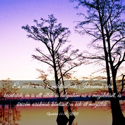 Picture 03 - Apostolok 22:20 KAR - És mikor ama te mártírodnak, Istvánnak vére - Bible Verse Picture