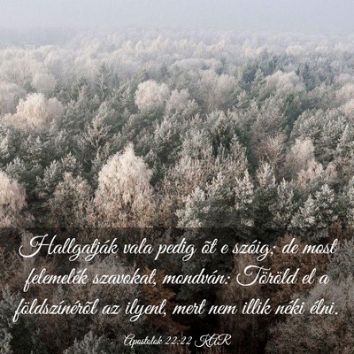 Picture 03 - Apostolok 22:22 KAR - Hallgatják vala pedig õt e szóig; de most - Bible Verse Picture