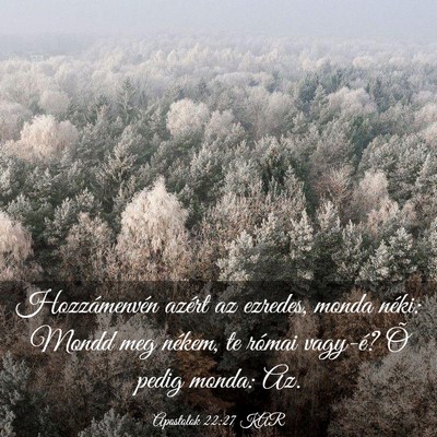 Picture 03 - Apostolok 22:27 KAR - Hozzámenvén azért az ezredes, monda néki: - Bible Verse Picture