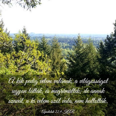 Picture 03 - Apostolok 22:9 KAR - A kik pedig velem valának, a világosságot - Bible Verse Picture
