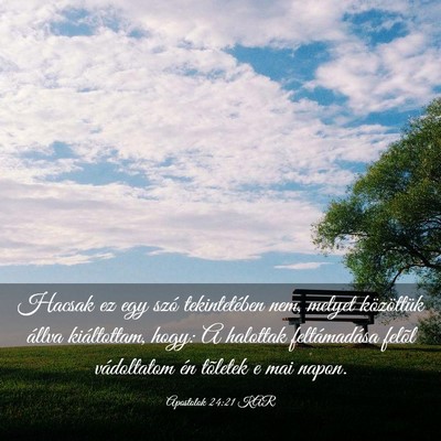 Picture 03 - Apostolok 24:21 KAR - Hacsak ez egy szó tekintetében nem, melyet - Bible Verse Picture