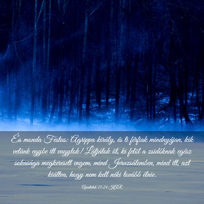 Picture 03 - Apostolok 25:24 KAR - És monda Festus: Agrippa király, és ti - Bible Verse Picture