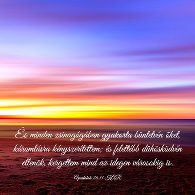 Picture 03 - Apostolok 26:11 KAR - És minden zsinagógában gyakorta büntetvén - Bible Verse Picture