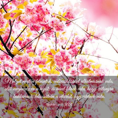 Picture 03 - Apostolok 27:17 KAR - Melyet miután felvontak, védõeszközöket - Bible Verse Picture