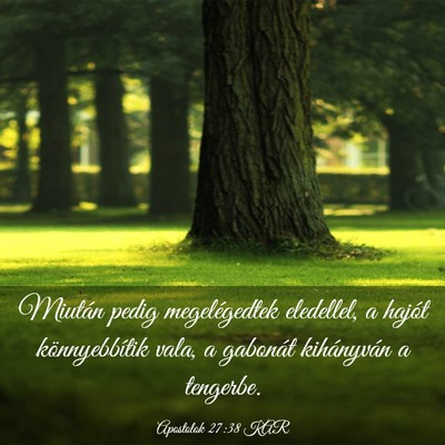 Picture 03 - Apostolok 27:38 KAR - Miután pedig megelégedtek eledellel, a hajót - Bible Verse Picture