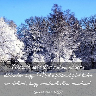 Picture 03 - Apostolok 28:22 KAR - Akarnók azért tõled hallani, micsoda - Bible Verse Picture