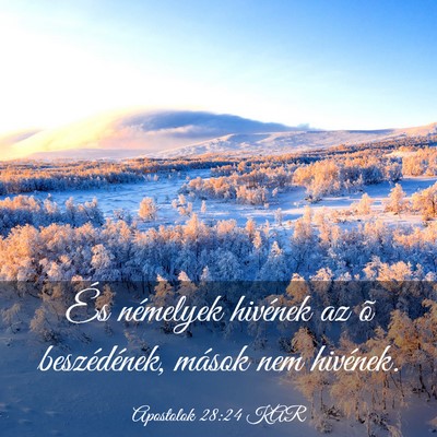 Picture 03 - Apostolok 28:24 KAR - És némelyek hivének az õ beszédének, mások - Bible Verse Picture